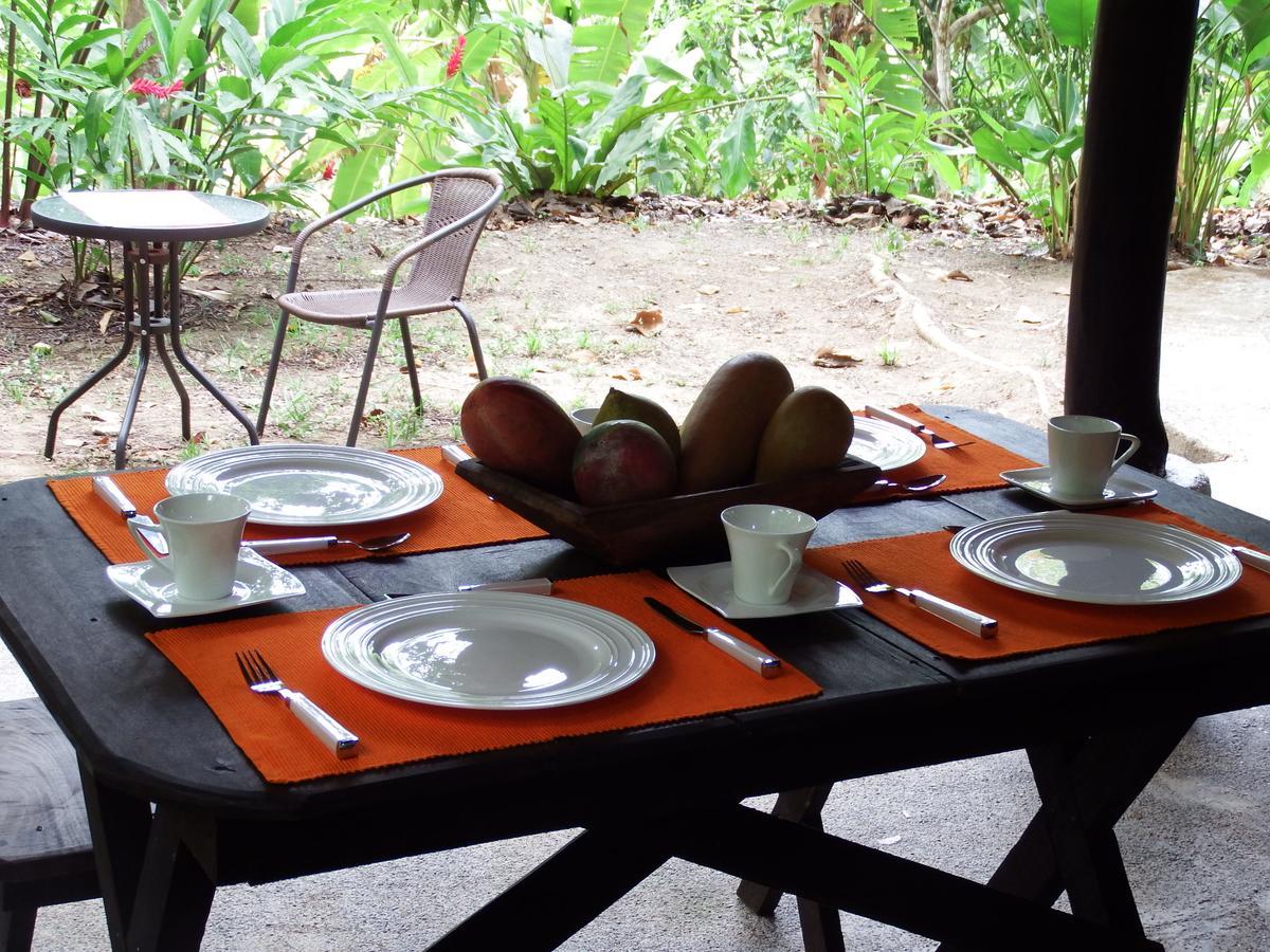 Selva Color - Forest & Beach Ecolodge Quebrada Ganado Exterior foto